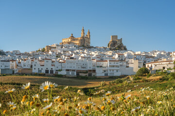 Obraz premium Olvera Skyline at sunset with wildflowers - Olvera, Andalusia, Spain