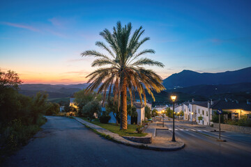 Palm Tree on a street at sunset with Mountains - Zahara de la Sierra, Andalusia, Spain