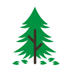 Fototapeta premium Forest Pine Trees Nature Flat Design