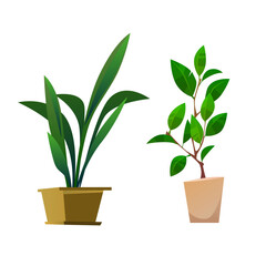 Vector flat houseplant collection