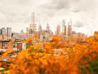 Stylized Philadelphia skyline with orange leaves in foreground. 