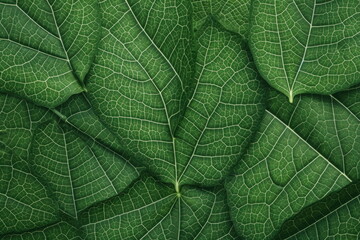 textile repeat pattern of green leaf