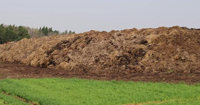 a large amount of manure used as a natural fertilizer in agriculture