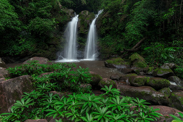 Obraz premium Beautiful deep forest waterfall in Thailand.