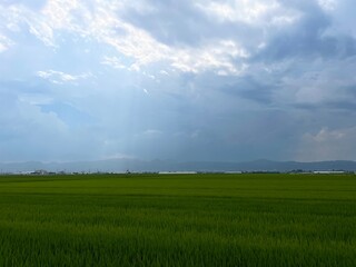210722田んぼ見崎

山形市見崎
田んぼ
雨
空
雲
