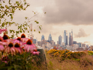 Stylized Philadelphia skyline with flowers in the foreground. 