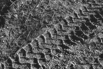 モノクロの風景