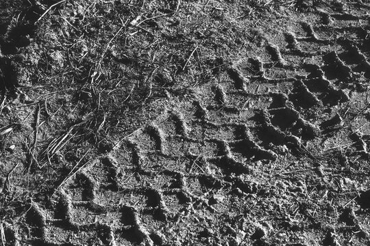 モノクロの風景