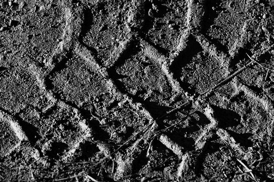 モノクロの風景