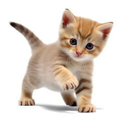 Obraz premium cute happy playful kitten, isolated background. Generative AI
