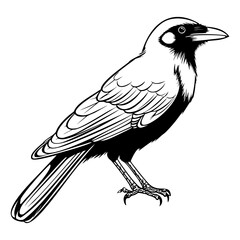 Crows silhouette, Crows mascot logo, Crows Black and White Animal Symbol Design, Bird icon.