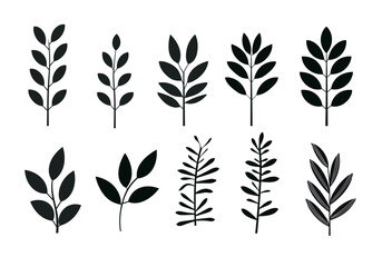 Fototapeta na wymiar Set of black silhouettes of leaves on a white background. Vector illustration