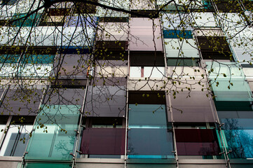 Windows in Basel