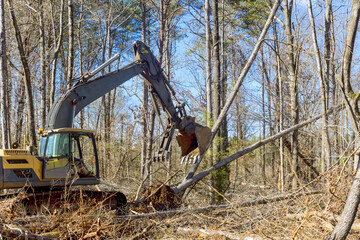 Worker removing trees from forests, preparing ground for building house, using an excavator © ungvar