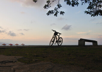 Naklejka na ściany i meble Cycling to the beach on a sunny morning