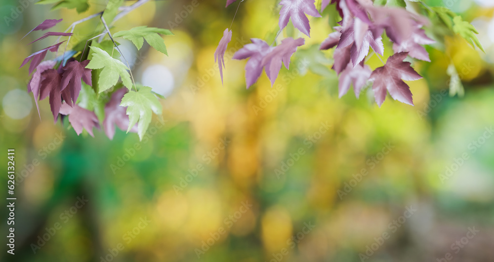 Poster autumn leaf with blur background, 3d illustrations rendering