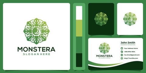Monstera leaf fresh logo design and business card