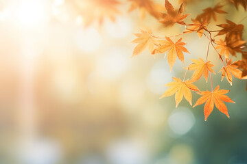 Autumnal of leaves maple in nature with an empty backdrop, Orange background, Environment concept. Illustration, Generative AI.