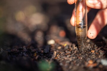 farmer collecting soil samples in a test tube in a field. Agronomist checking soil carbon and plant...