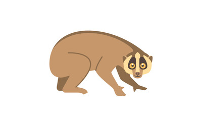 Slow Loris (Nycticebus coucang) in side angle view, flat style vector illustration isolated on white background - obrazy, fototapety, plakaty