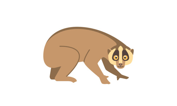 Slow Loris (Nycticebus coucang) in side angle view, flat style vector illustration isolated on white background
