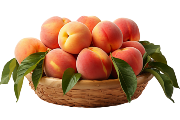 a realistic portrait of peaches in a basket isolated on white background PNG