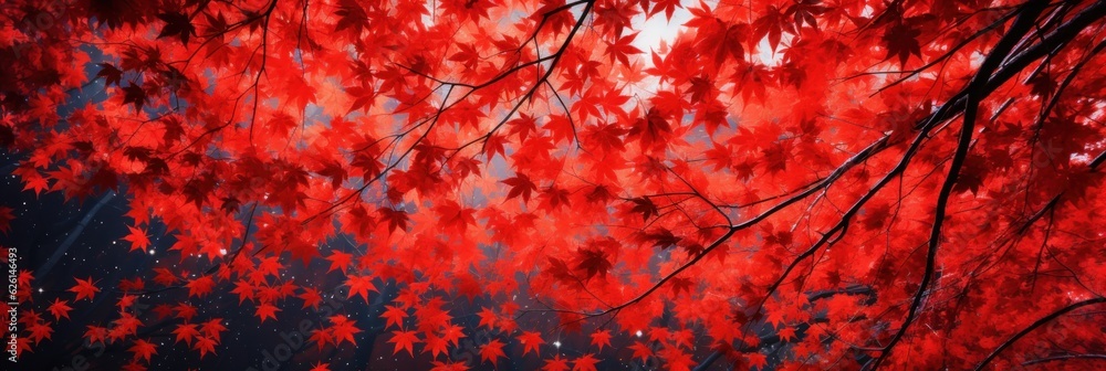 Wall mural sky above the autumn maple leaves forest background