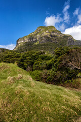 Looking up towards Mt Lidgbird, Lord Howe Island, Australia