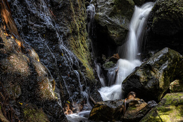 Fototapeta premium Waterfall on Lord Howe Island, Australia