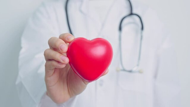 Doctor hand holding red heart shape in hospital. love, donor, world heart day, world health day, CSR donation and Insurance concepts