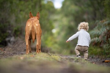 baby and dog in the wild forest together walking