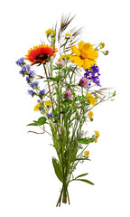 Summer bouquet of meadow wildflowers and herbs isolated on transparent background.