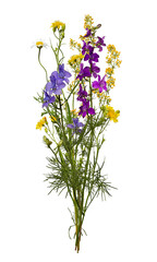 Obraz premium Summer bouquet of wildflowers and herbs isolated on transparent background. Botanical collection, summer composition.