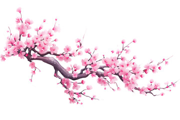Fototapeta premium pink cherry blossom branch