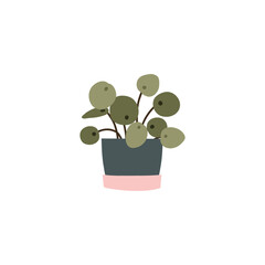 Potted plant. Houseplants in flower pot. Vector bundle of trendy plants