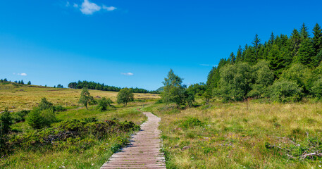 Wooden footpath through the forest- Auvergne landscape in France- travel, tourism,adventure, hike concept