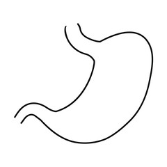 stomach icon vector