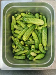  top shot photo of young pickled cucumbers in a stainless steel container in which they are collected and washed ready for fermentation or canning