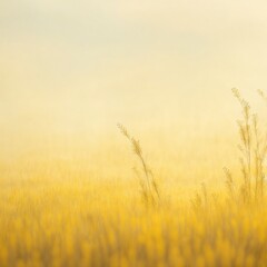 Naklejka premium summer landscapes background