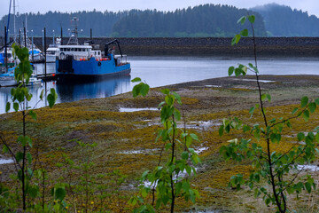 Street city view with wooden houses, shops, cars and mountain wilderness nature in Hoonah, Icy Strait Point in Alaska, popular cruise destination for whale watching in wildlife tours	