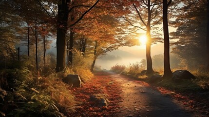 Gorgeous nature path lined with trees in the fall at sunrise, AI-generative