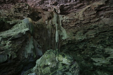 Cuava, cenote en yucatan, textura de piedra caliza con musgo. 