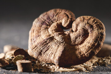 Dried Reishi Mushroom, traditional herbal medicine