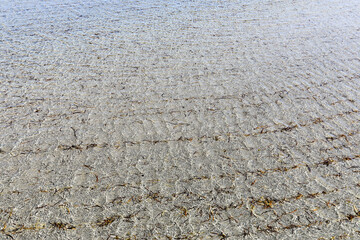 View of sandy beach through clear ocean water