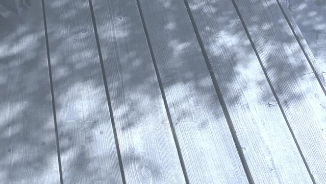 230715_megi_0016.mp4