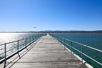 Obraz premium Scenic view of blue sky over Port Germein jetty and ocean