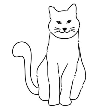 cat cartoon line illustration
