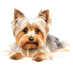 Generative AI : Adorable Watercolor Yorkshire terrier on White