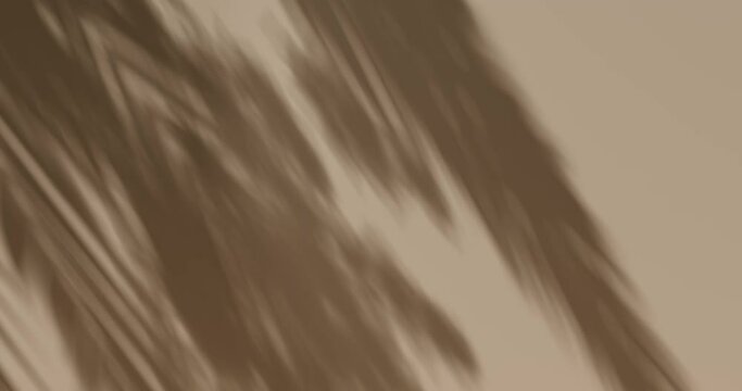 3D background. Beige palm leaf shadow. Nature, tree branch in the wind in sunlight.  Vacation, holiday animation in 4K. Brown backdrop for product, text or logo. Tropical vibe. Seamless 3D loop video.