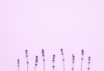 Bouquet of purple lavender arranged on pink table. Top view, flat lay mock up, copy space. Minimal background concept. Dry violet flowers, floral composition, congratulations frame, card.